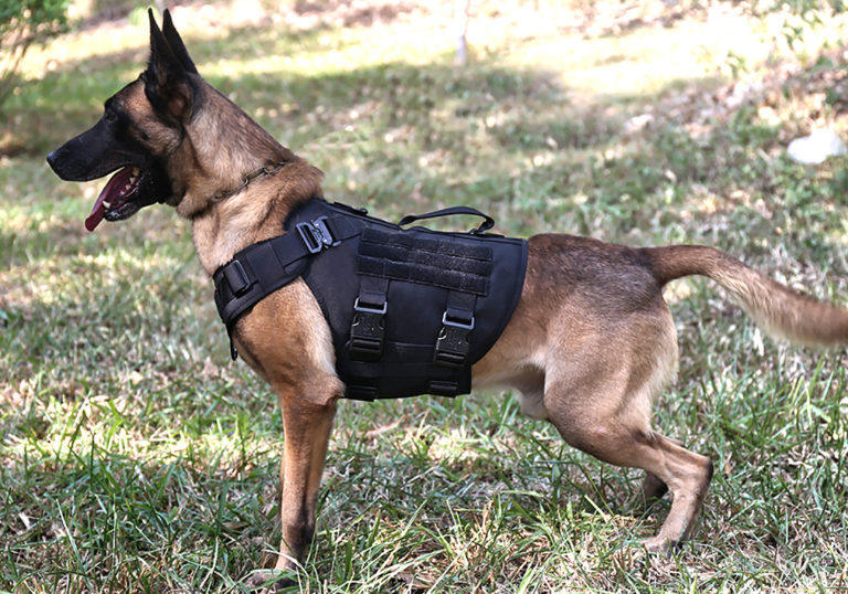 ICEFANG Tactical Dog Harness /// Urban Survival Kit