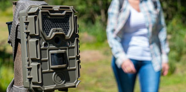 How Does a Trail Camera Work