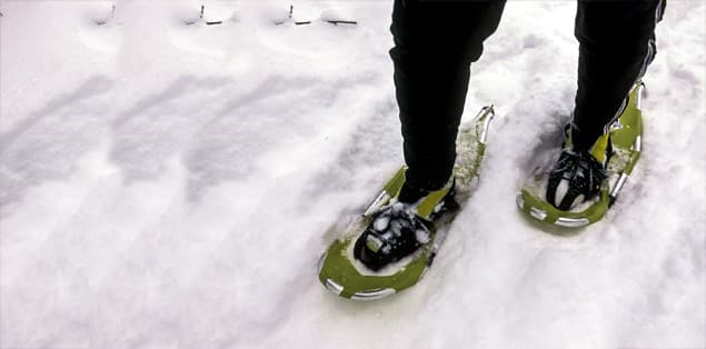 Snow-Shoeing