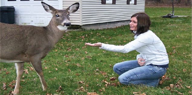 Why Should You Not Wear Blue Jeans in Front of Deer?