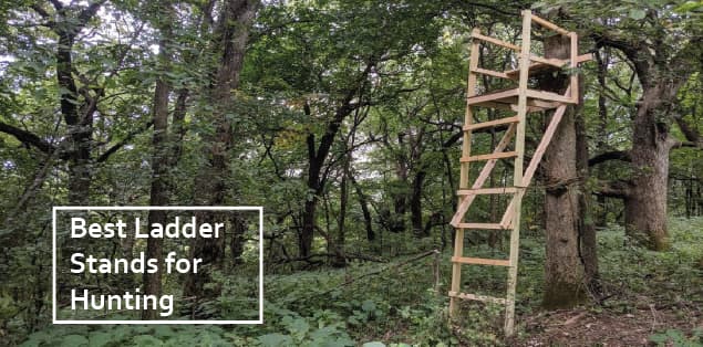 ladder stands for hunting