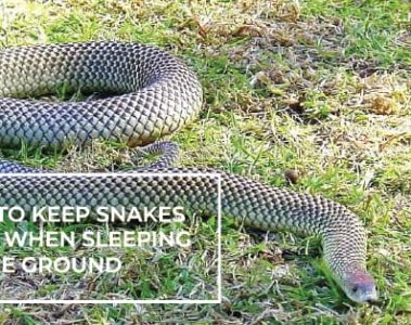 How to Keep Snakes Away When Sleeping on the Ground