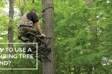 How to Use a Climbing Tree Stand
