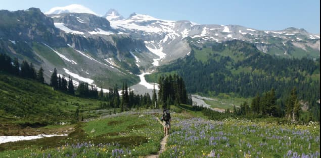 Mount Rainier National Park's Wonderland Trail, WA