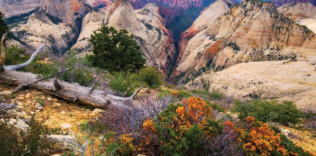 West Rim Trail in Zion National Park, Utah