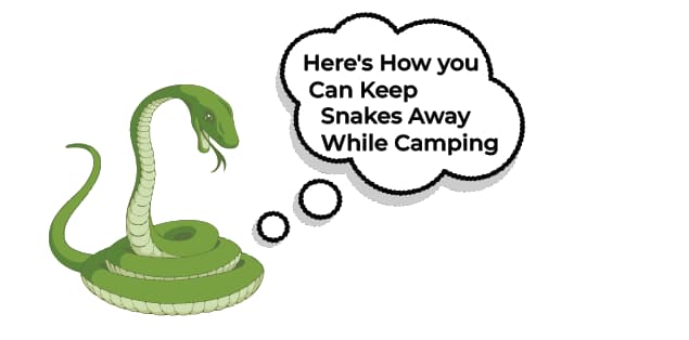Best Ways to Keep Snakes Away While Camping?