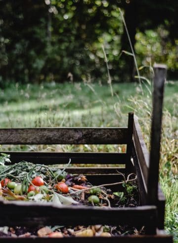 Earth-Friendly Reasons & Tips for Home Composting