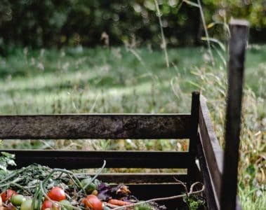 Earth-Friendly Reasons & Tips for Home Composting