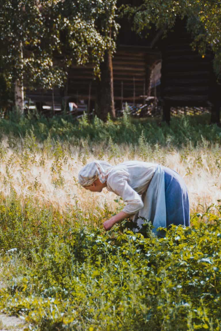 Let's Talk Sustainable Living
